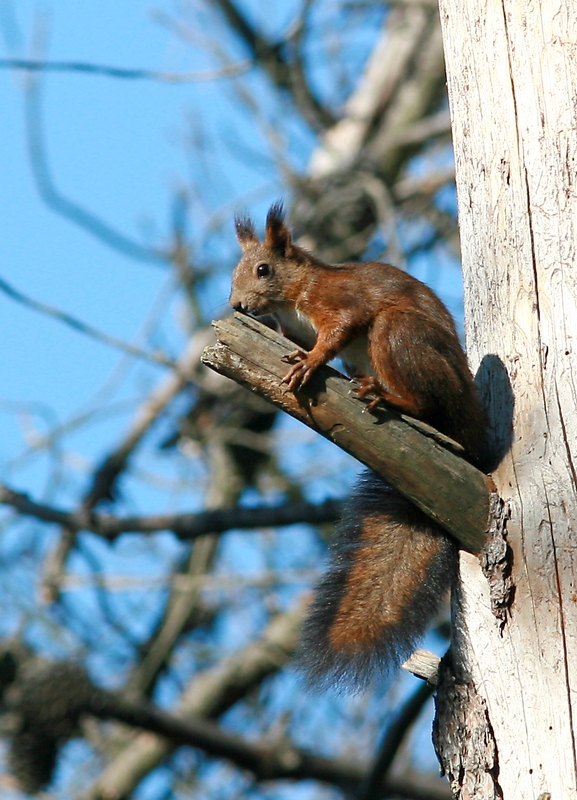 Mi ha fatto impazzire