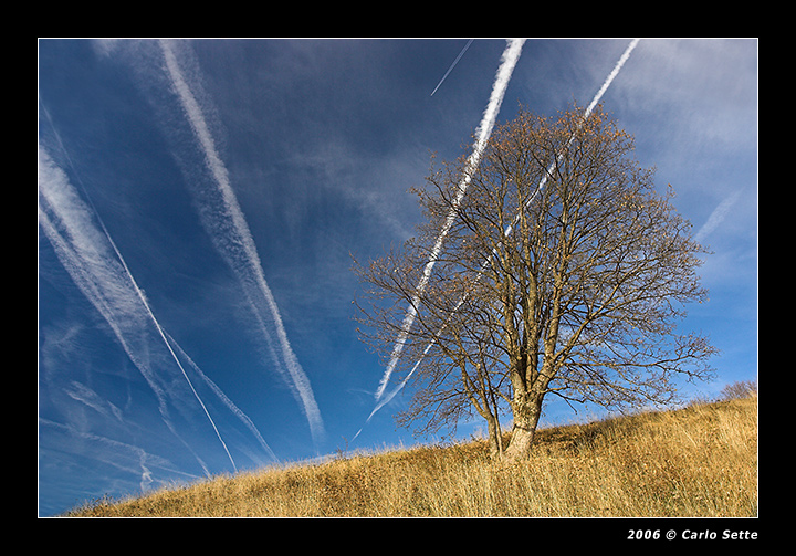 Finestron (Monte Grappa)