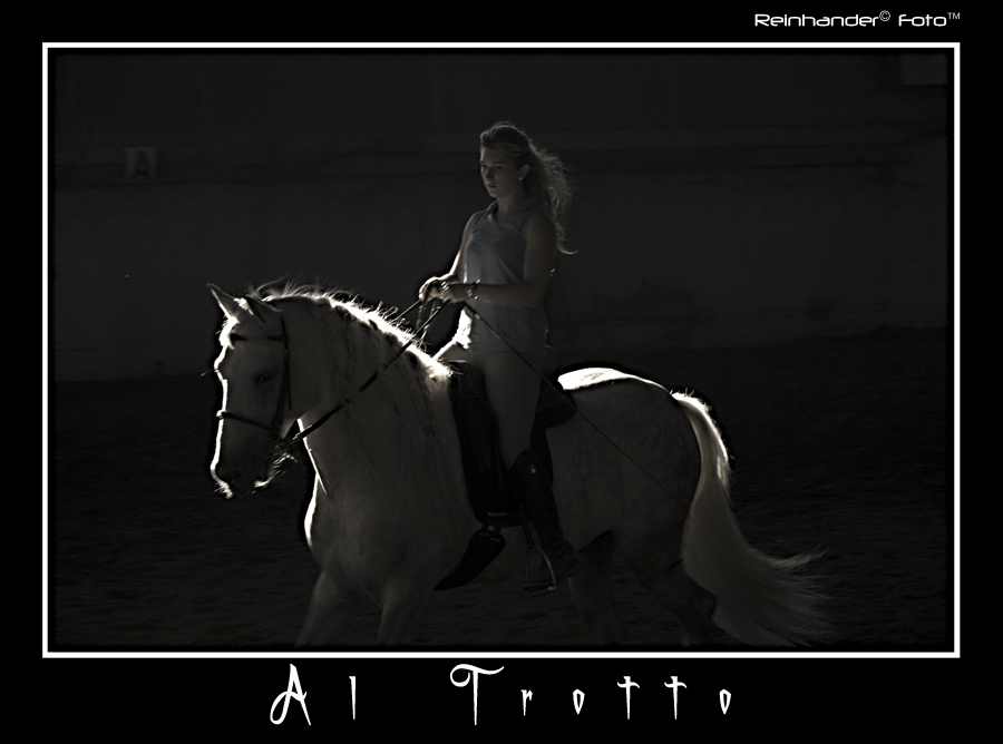 Al Trotto