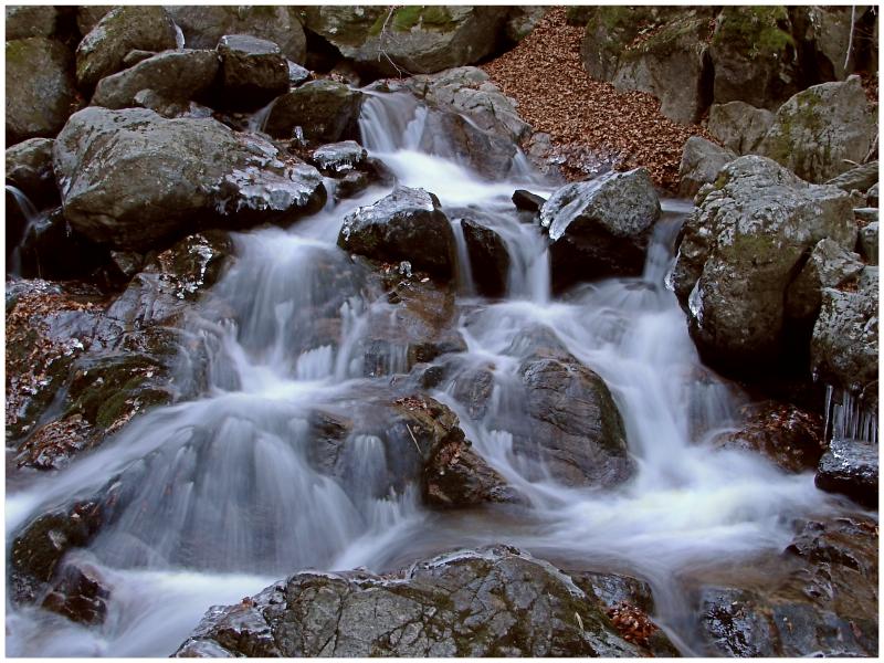Piccoli balzi - Tre settimane dopo