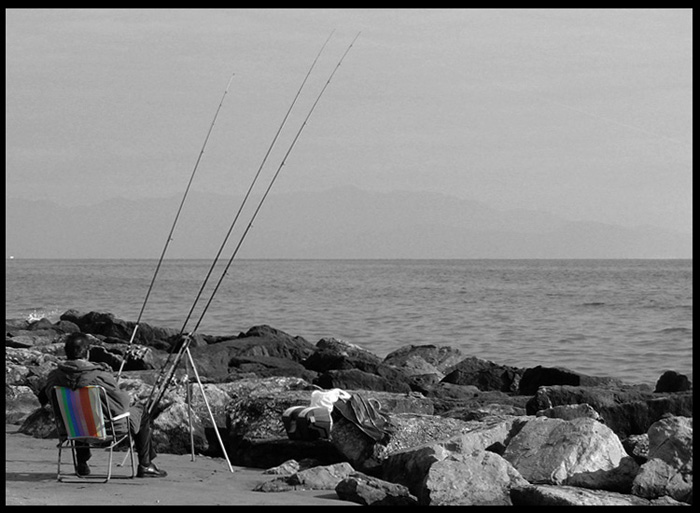 Aspettando in PACE #2