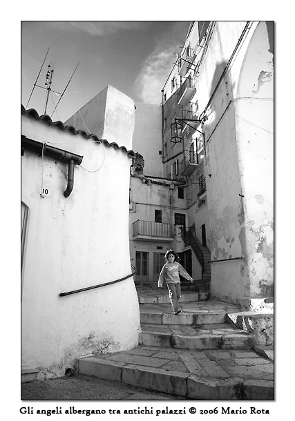 Gli angeli albergano tra antichi palazzi 2