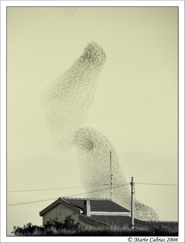 Spettacoli di Natura