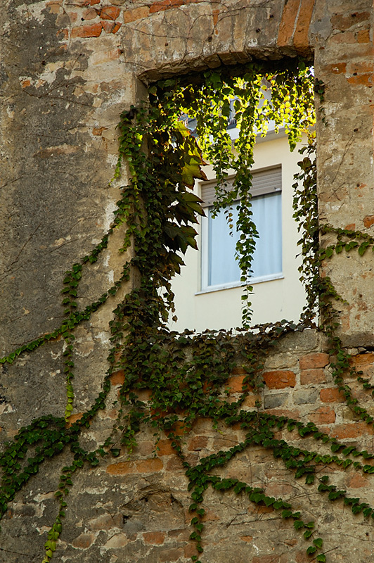 attraverso il passato...il presente