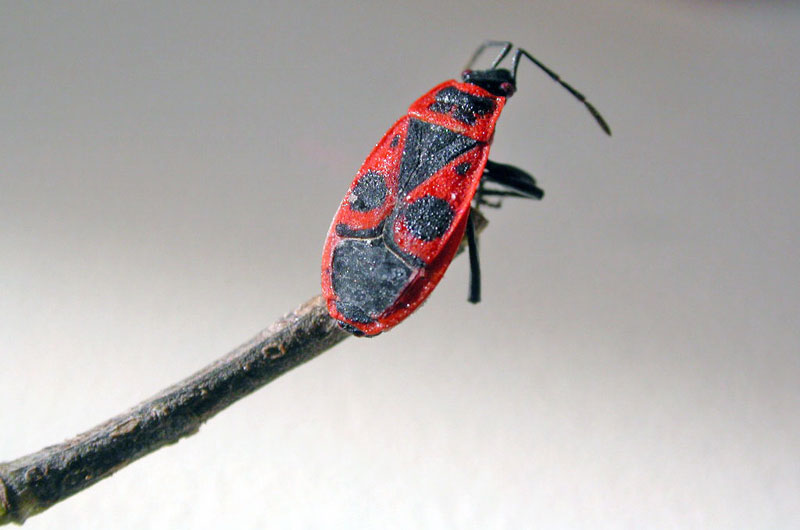 piano piano sonno arrivato....