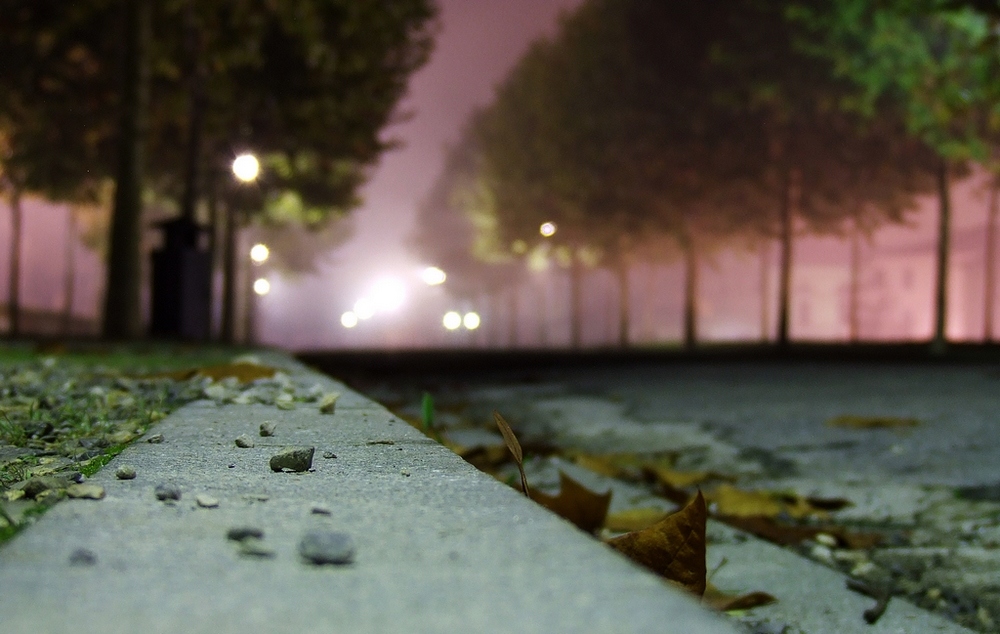 .. in una notte rosa ..