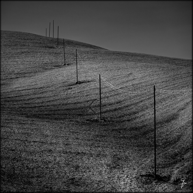 onda di un mare d'erba