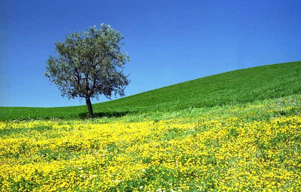 primavera nel Moontefeltro