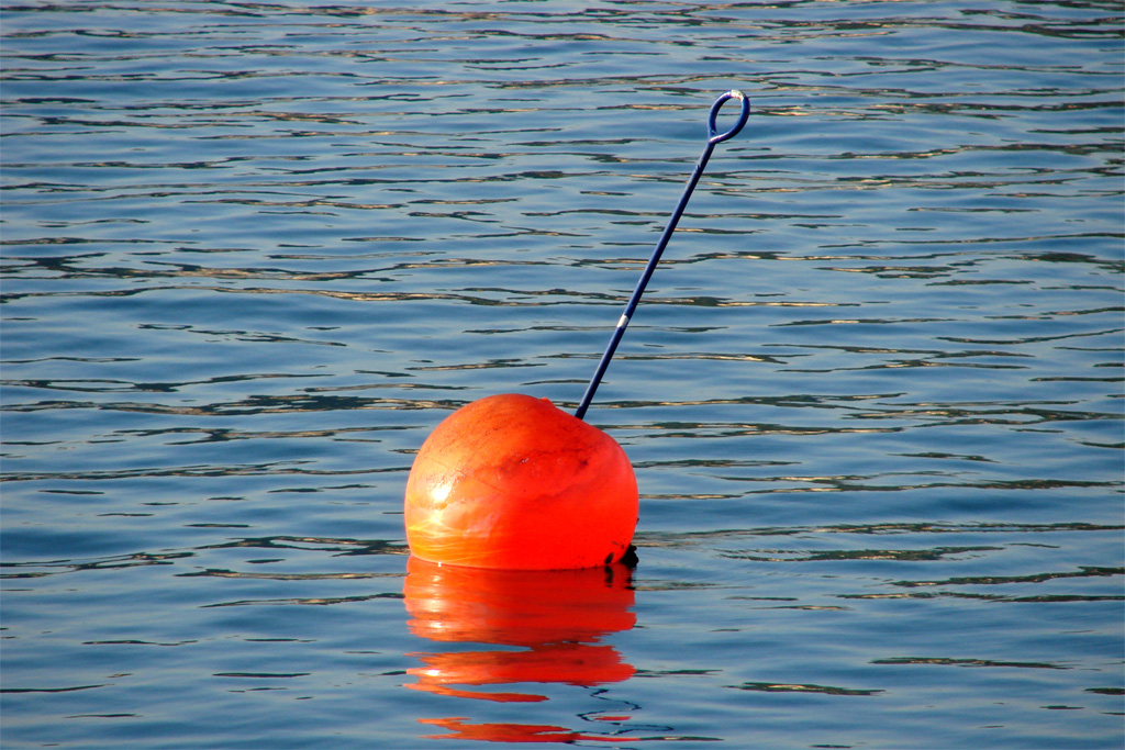 ..gradite un sweet mar-tini?