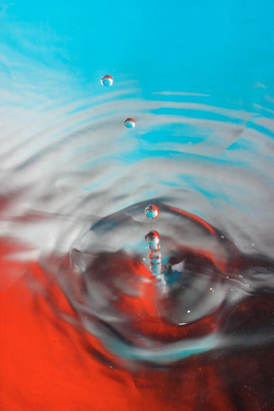 contest ! ormai , se lo sapevo !