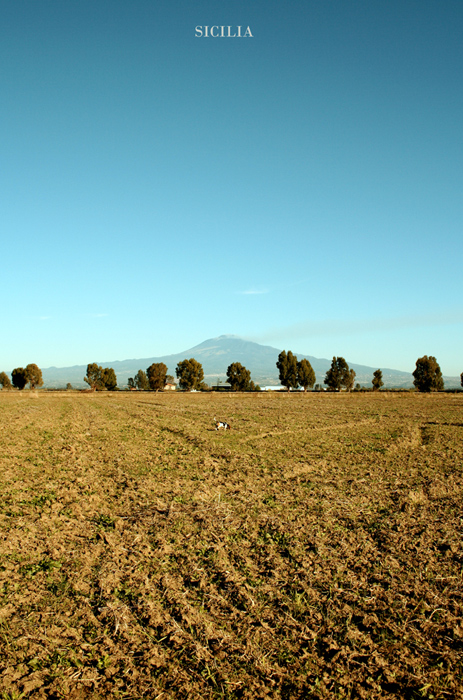 Sicilia