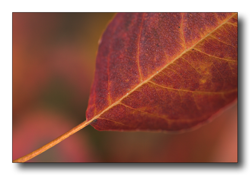 con un filo di energia