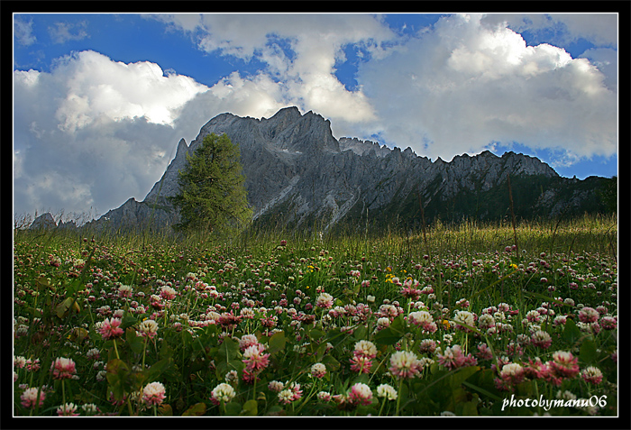 Prati di Croda Rossa