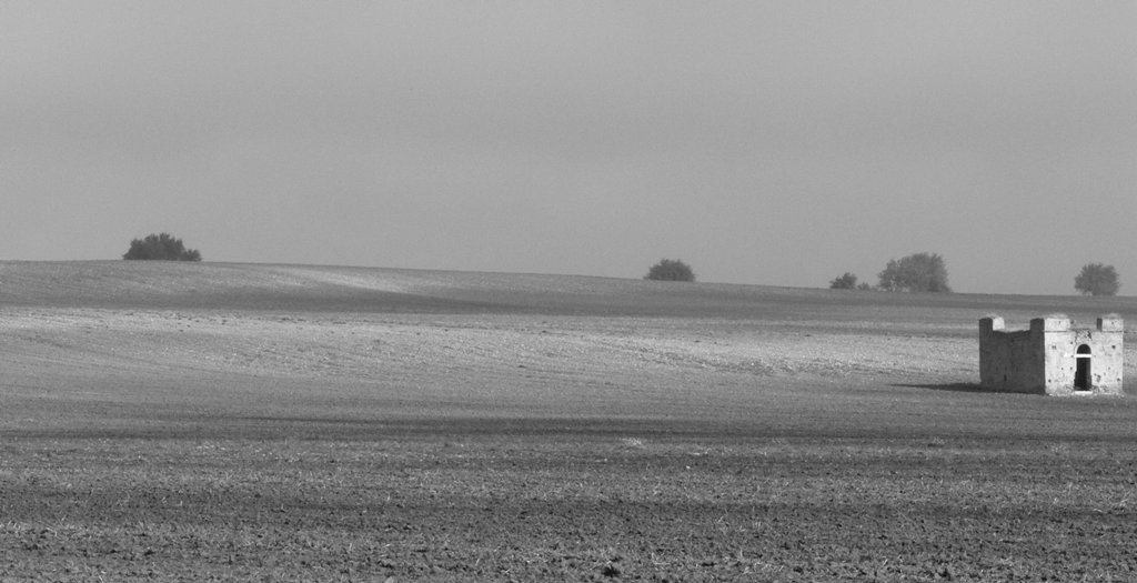 aspettando la semina del grano