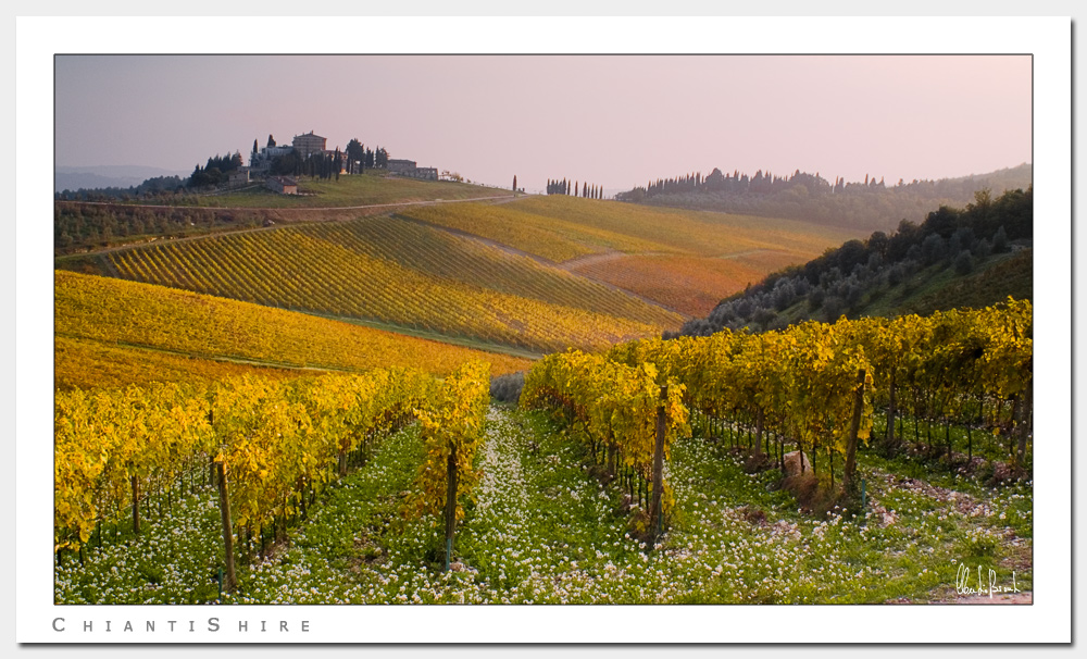 ChiantiShire