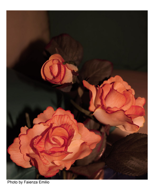 Rose e cuscini