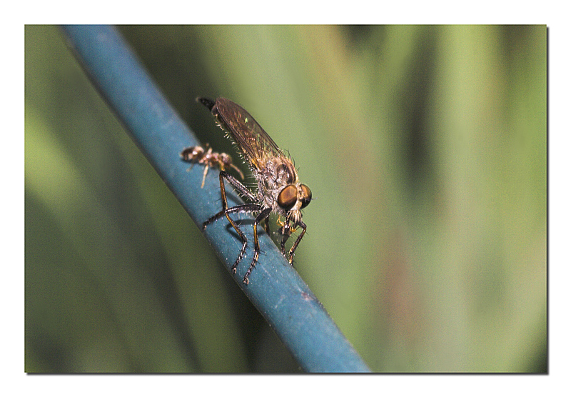 GRANDE CONCORSO A PREMI: Nobilitiamo lo scarto