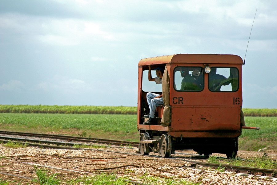 Non tutti prendono la metropolitana.