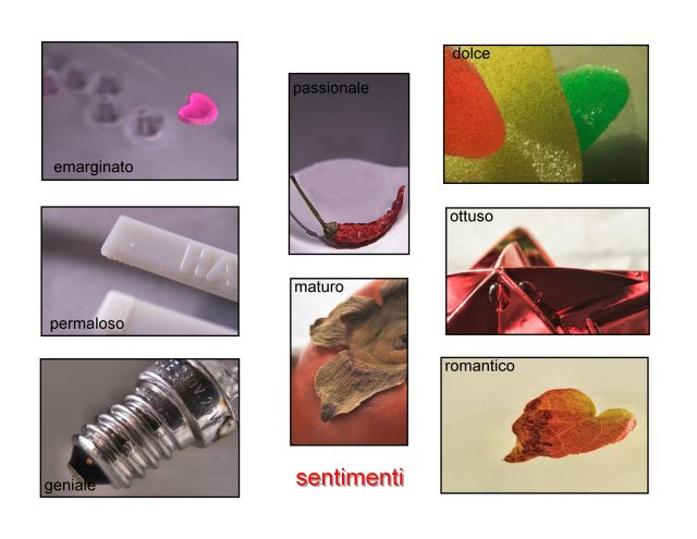 sentimenti 2