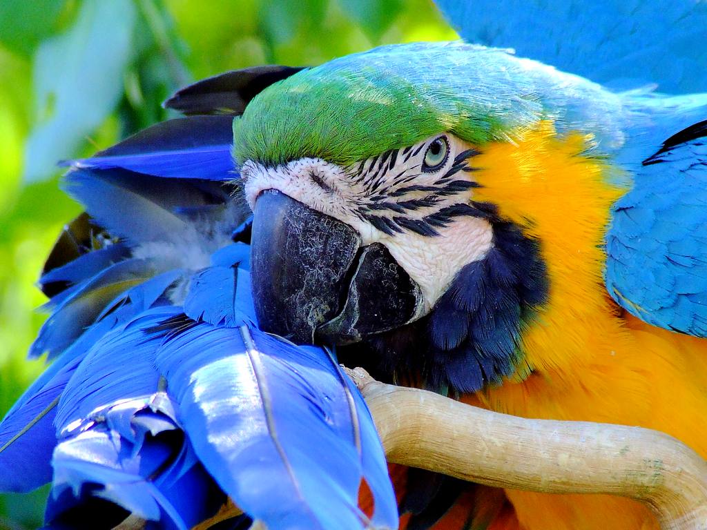 Al parco naturalistico. Guardate chi ho incontrato?