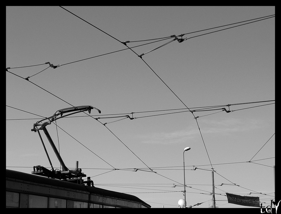 Tram Lines