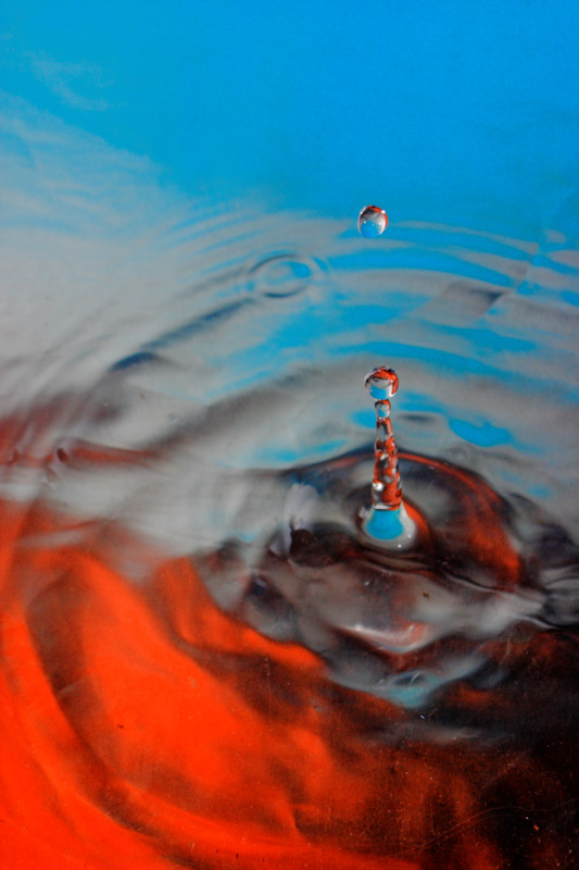 andate a votare il contest!!!!!!!!!