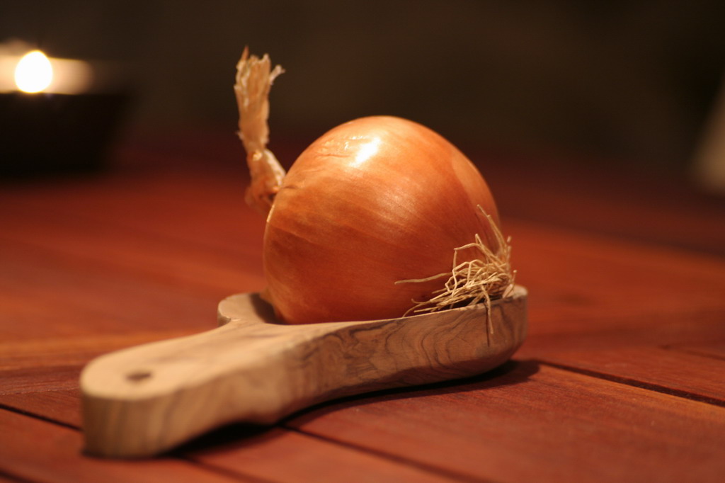 cipollotto