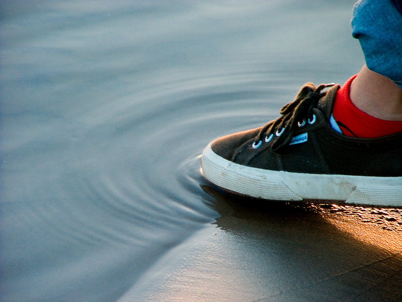 Contest Aqua - 20�classificato