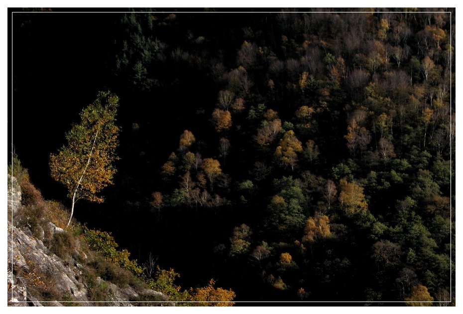 Geometrie d'autunno...