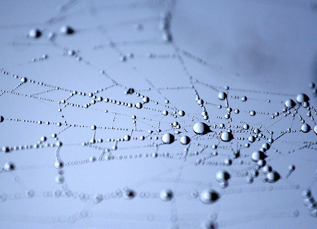 Contest Aqua - 8� classificato