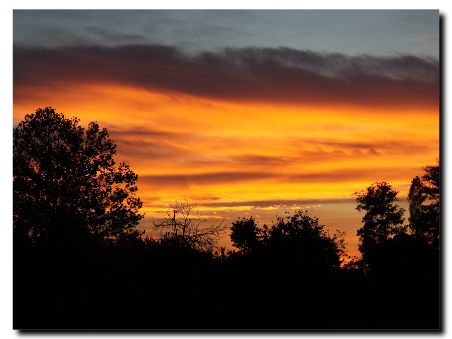 Un regalo dalla natura