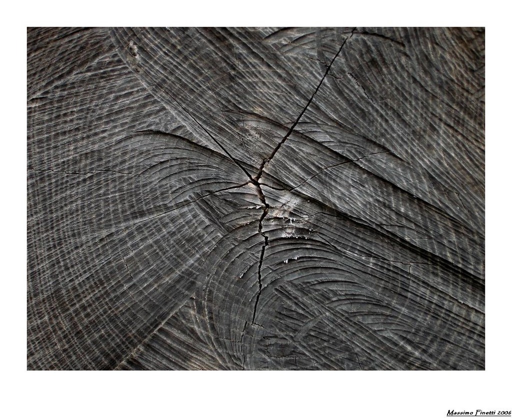 TEMPUS FUGIT - prove con compattina # 2