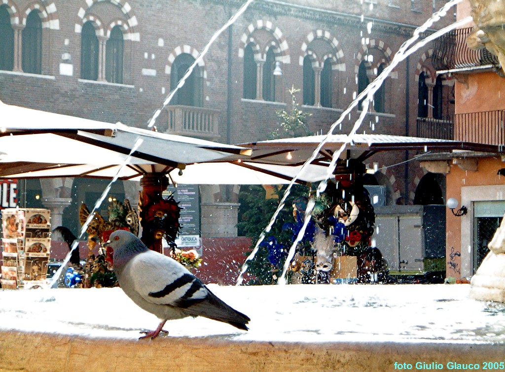 Fontana in Piazza delle Erbe a Verona