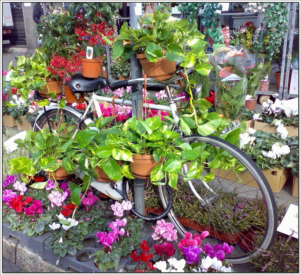 Mobilit� stostenibile