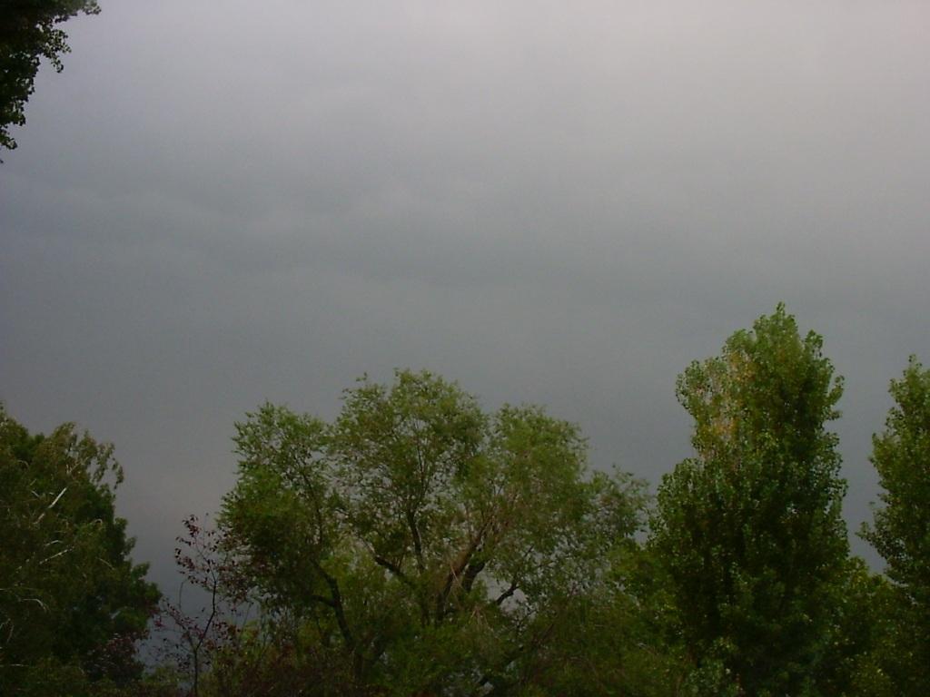 Andando in giro - 002