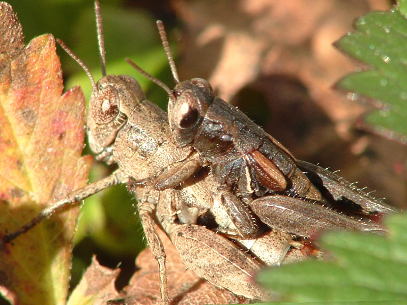 mi dai un passaggio??????