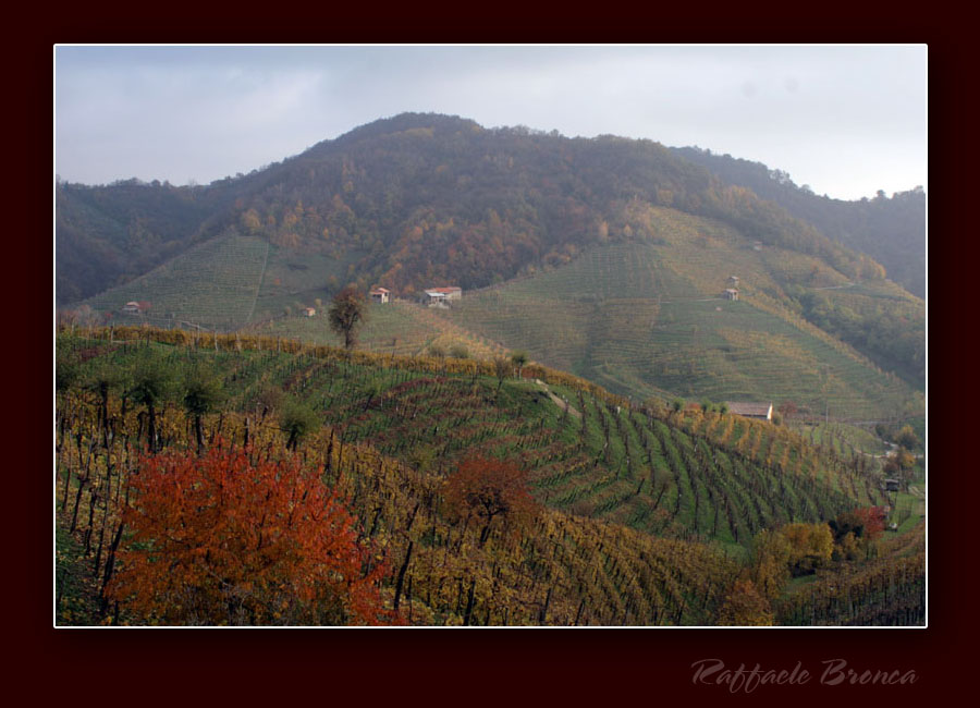 Colli di Valdobbiadene
