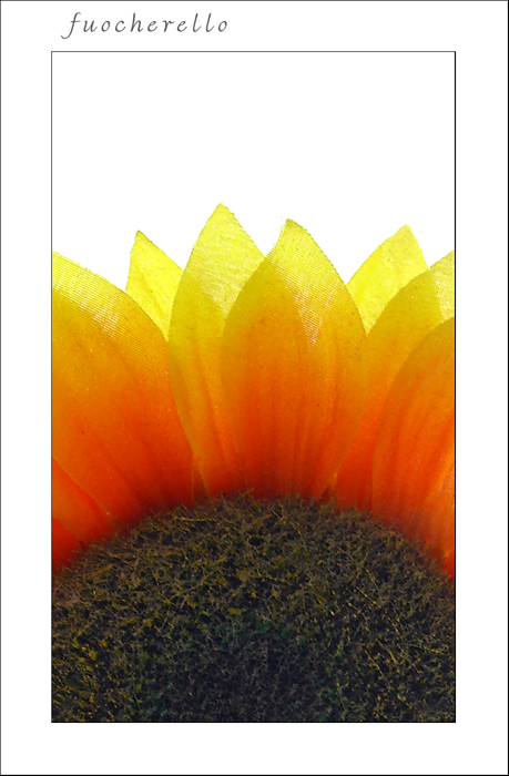 fuocherello