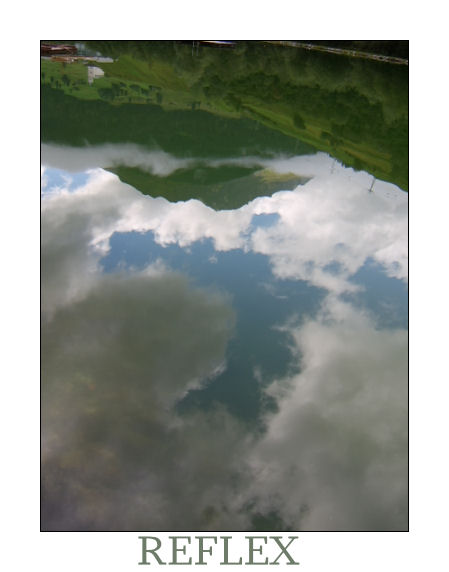 Reflex