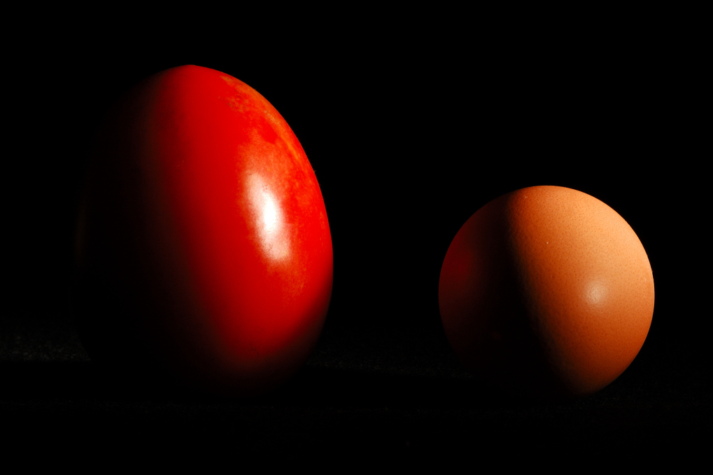 Uovo e Pomodoro