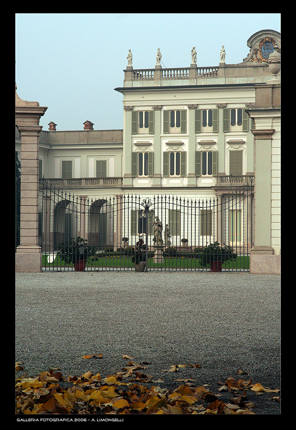 ..come foglie spazzate via dal vento