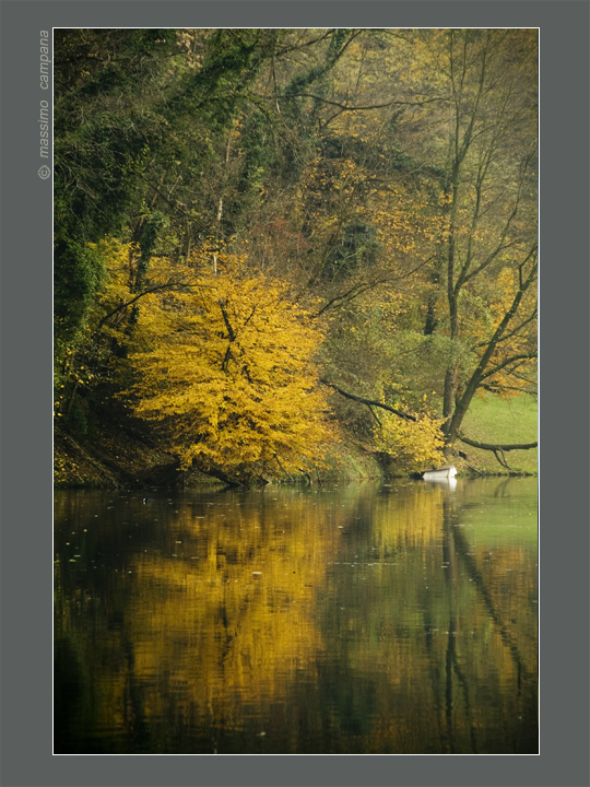 ultimi riflessi autunnali
