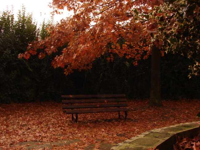 Non � tempo di baci