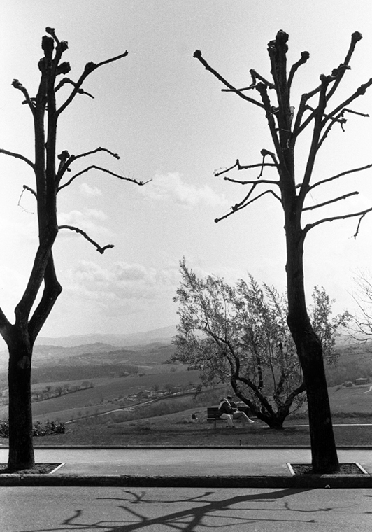 Quasi a primavera...