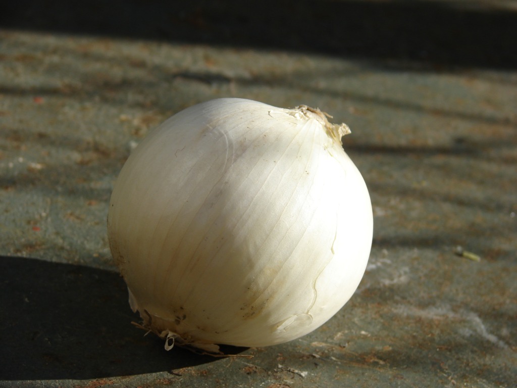 La base della cucina