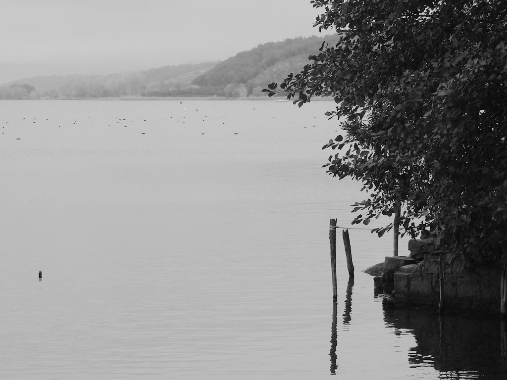 malinconia in bianco e nero...