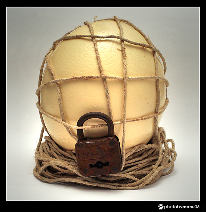 waiting for its birth!