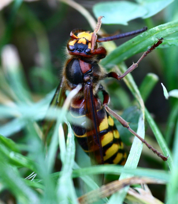 Piano piano arrivo....