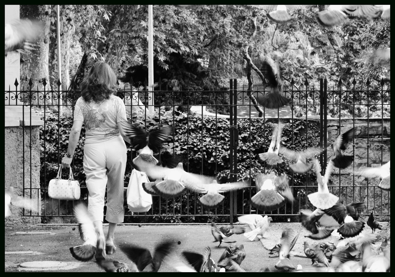 Per Mauroq... la donna dei piccioni