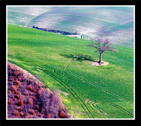 Toscana
